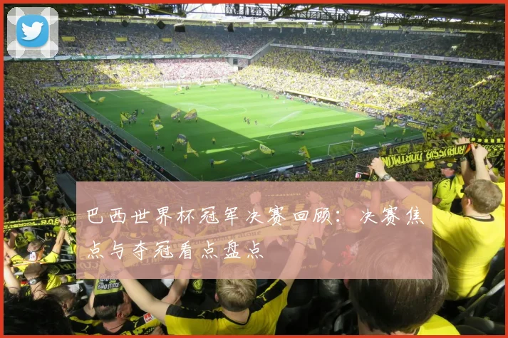 巴西世界杯冠军决赛回顾：决赛焦点与夺冠看点盘点